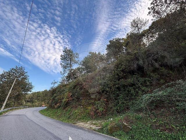 Terreno à venda em Rio Frio, Arcos de Valdevez RE/MAX Portugal