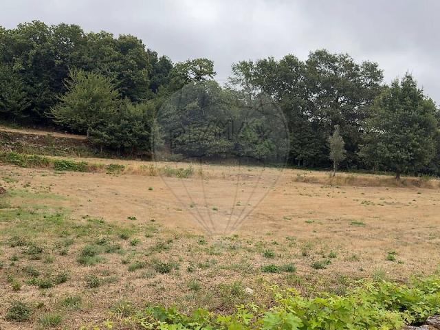 Terreno à venda em Ruivães e Campos, Vieira do Minho RE/MAX Portugal