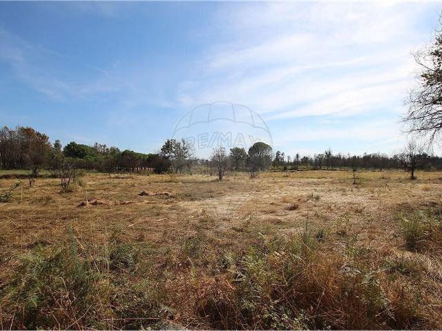 Terreno à venda em Tourais e Lajes, Seia RE/MAX Portugal