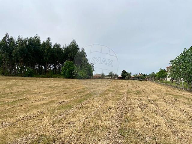 Terreno à venda em Tourais e Lajes, Seia RE/MAX Portugal