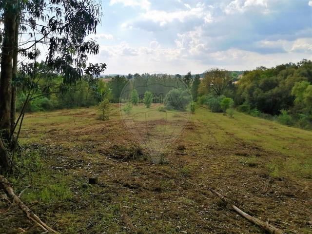 Terreno à venda em Tomar