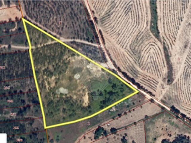 Terreno à venda em Tomar