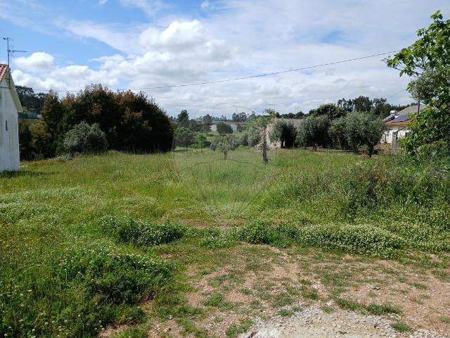 Terreno à venda em Tomar