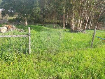 Terreno à venda em Tomar