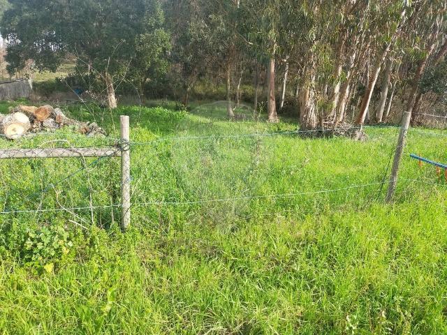 Terreno à venda em Tomar