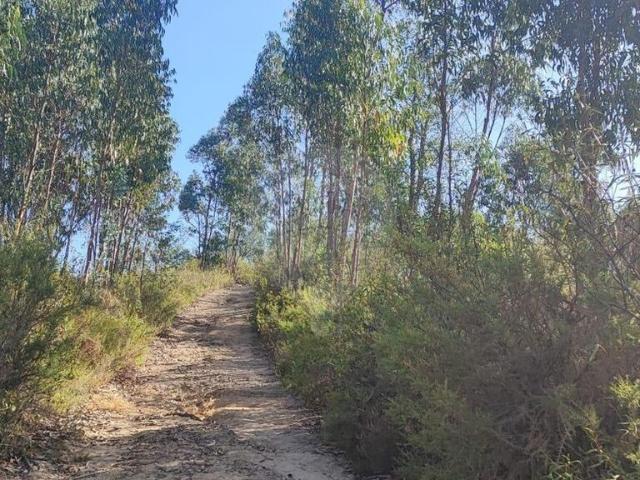 Terreno à venda em Tomar