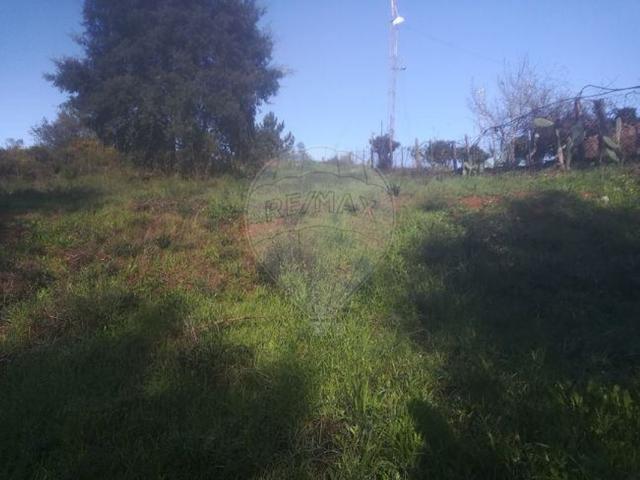 Terreno à venda em Tomar
