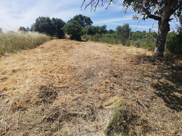 Terreno à venda em Tomar