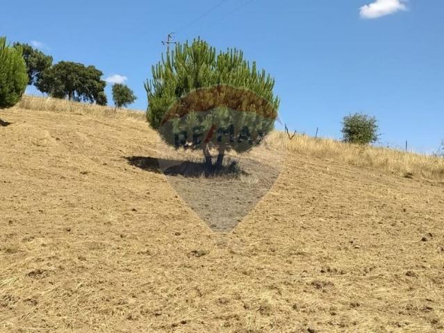 Terreno à venda em Tomar