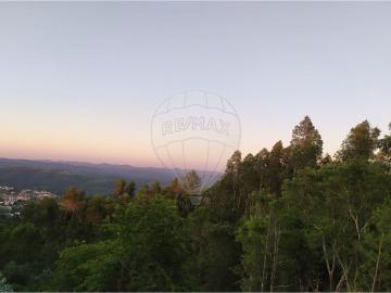Terreno à venda em Tomar
