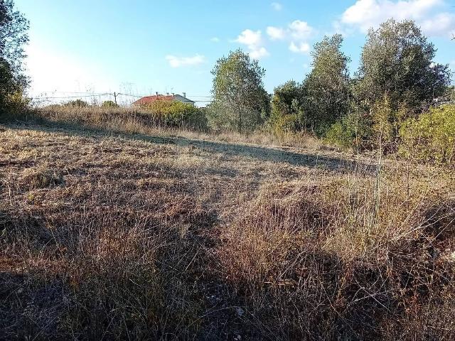 Terreno à venda em Tomar São João Baptista e Santa Maria dos Olivais, Tomar RE/MAX Portugal