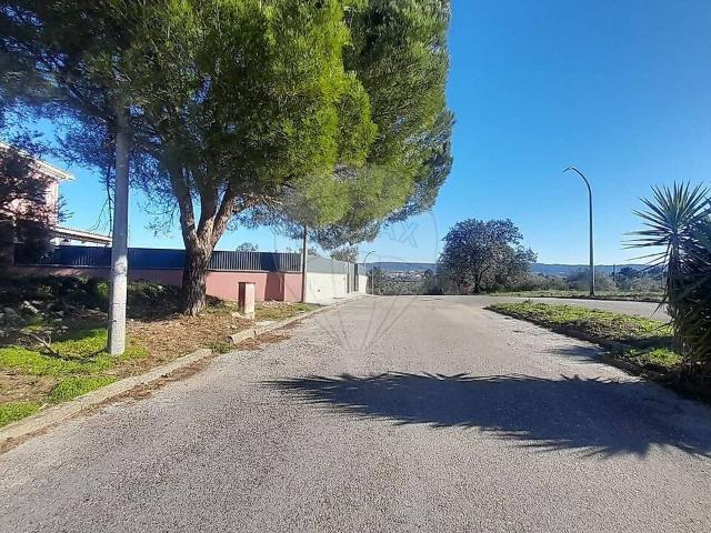 Terreno à venda em Tomar São João Baptista e Santa Maria dos Olivais, Tomar RE/MAX Portugal