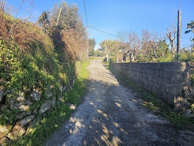 Terreno à venda em Tonda, Tondela RE/MAX Portugal