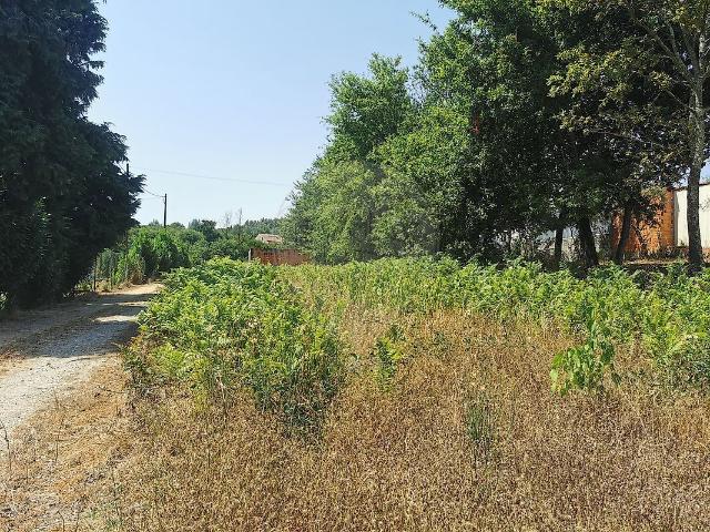 Terreno à venda em Tondela