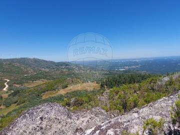 Terreno à venda em Tondela