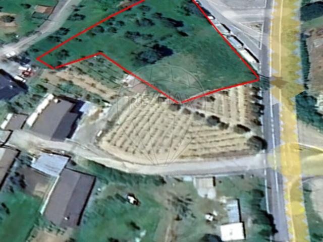 Terreno à venda em Tondela