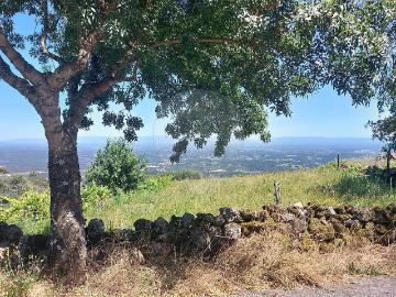 Terreno à venda em Tondela