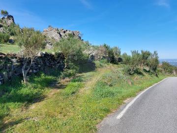 Terreno à venda em Tondela