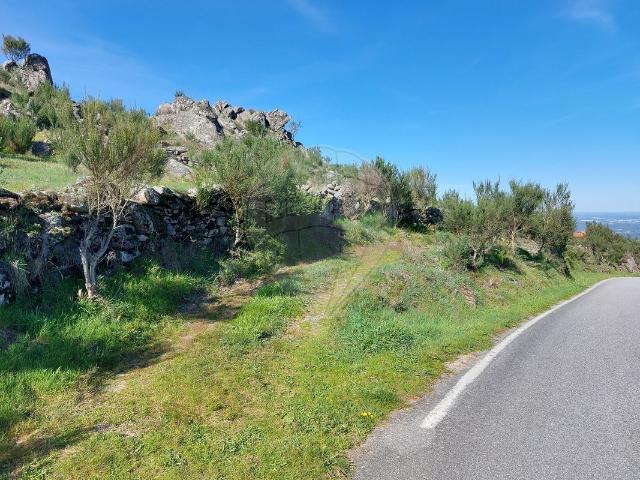 Terreno à venda em Tondela