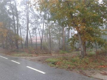 Terreno à venda em Tondela
