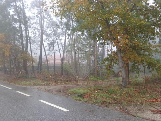 Terreno à venda em Tondela