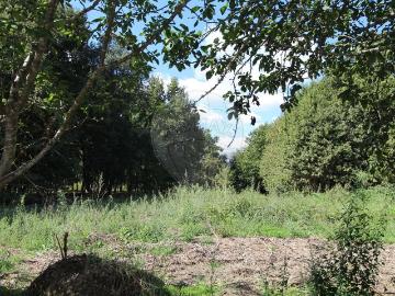 Terreno à venda em Tondela