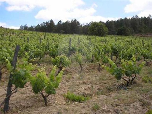 Terreno à venda em Tondela