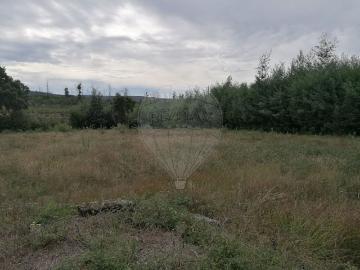 Terreno à venda em Tondela
