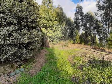 Terreno à venda em Tondela