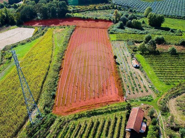 Terreno à venda em Torrados e Sousa, Felgueiras RE/MAX Portugal
