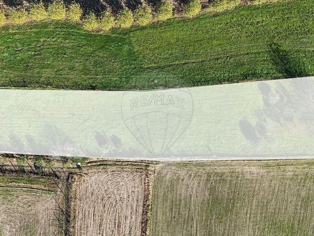 Terreno à venda em Torrados e Sousa, Felgueiras RE/MAX Portugal