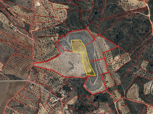 Terreno à venda em Torres Novas São Pedro, Lapas e Ribeira Branca, Torres Novas RE/MAX Portugal
