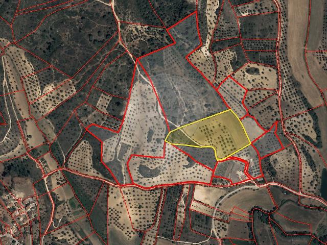 Terreno à venda em Torres Novas São Pedro, Lapas e Ribeira Branca, Torres Novas RE/MAX Portugal