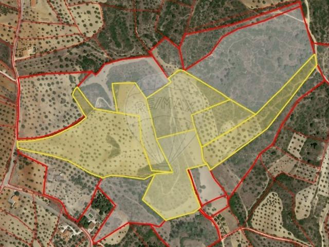 Terreno à venda em Torres Novas São Pedro, Lapas e Ribeira Branca, Torres Novas RE/MAX Portugal