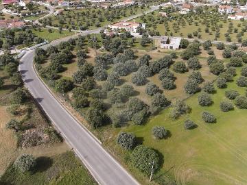 Terreno à venda em Torres Novas