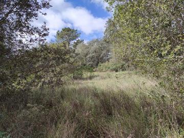 Terreno à venda em Torres Novas