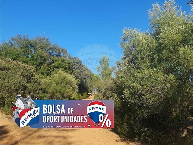 Terreno à venda em Torres Novas