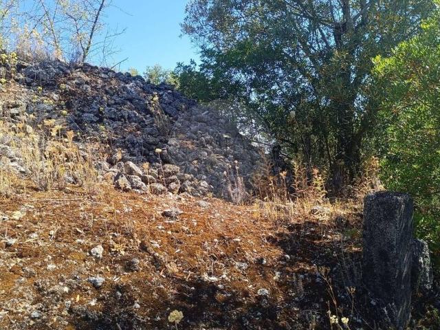 Terreno à venda em Torres Novas