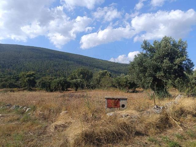 Terreno à venda em Torres Novas