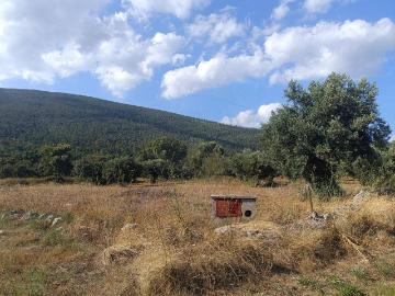 Terreno à venda em Torres Novas