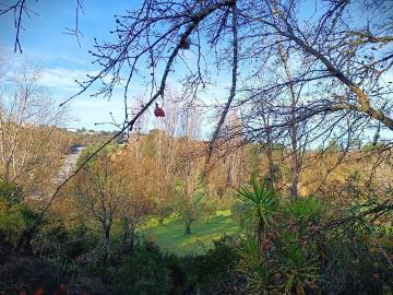 Terreno à venda em Torres Novas