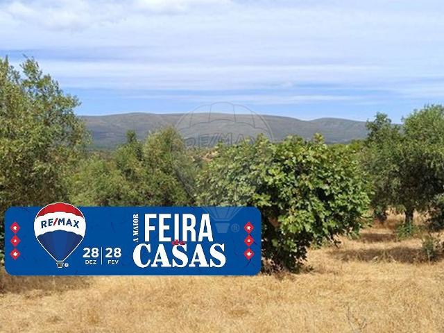 Terreno à venda em Torres Novas