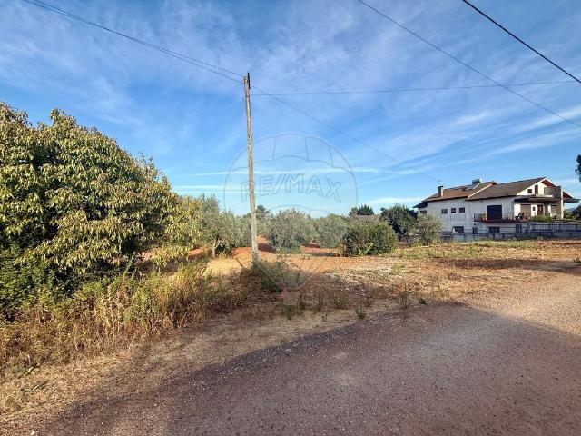 Terreno à venda em Torres Novas