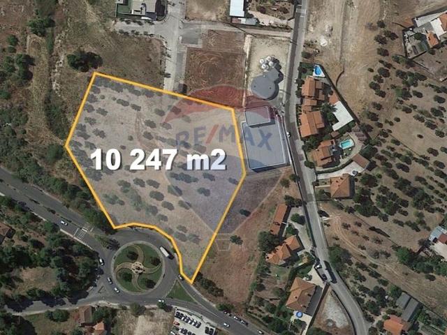 Terreno à venda em Torres Novas