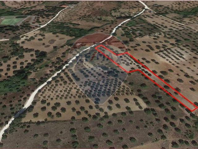 Terreno à venda em Torres Novas