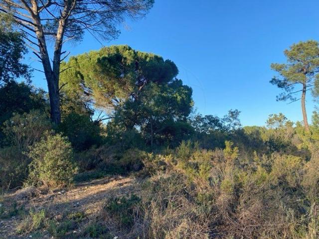 Terreno à venda em Torres Novas