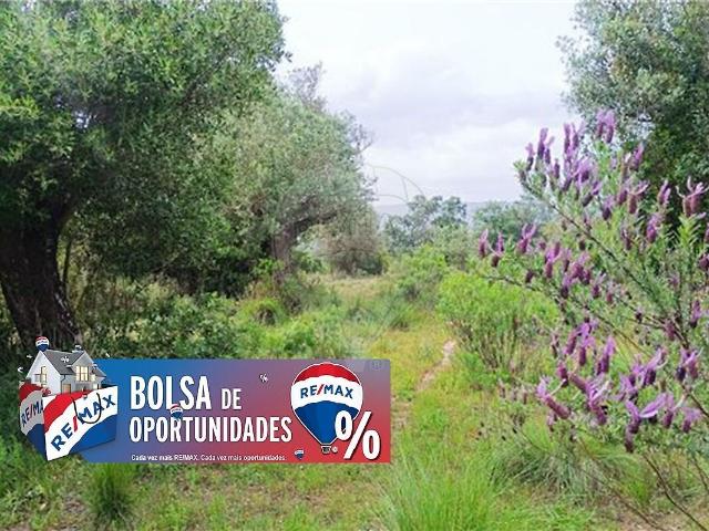 Terreno à venda em Torres Novas