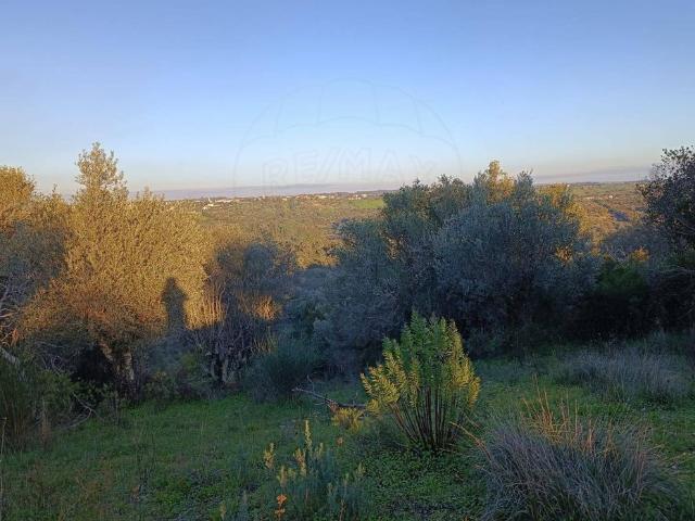 Terreno à venda em Torres Novas