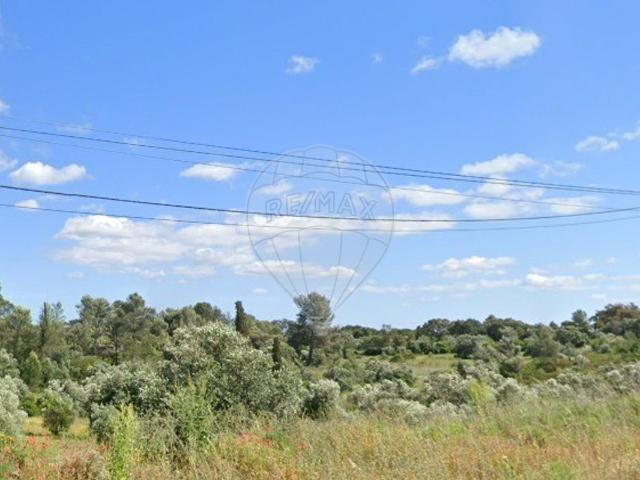 Terreno à venda em Torres Novas