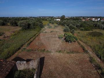 Terreno à venda em Torres Novas